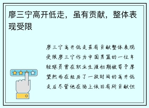 廖三宁高开低走，虽有贡献，整体表现受限